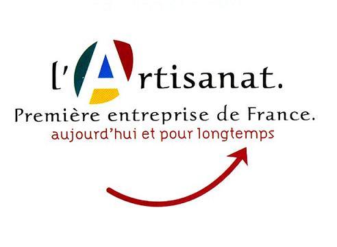 Artisan charpenter Chasseneuil